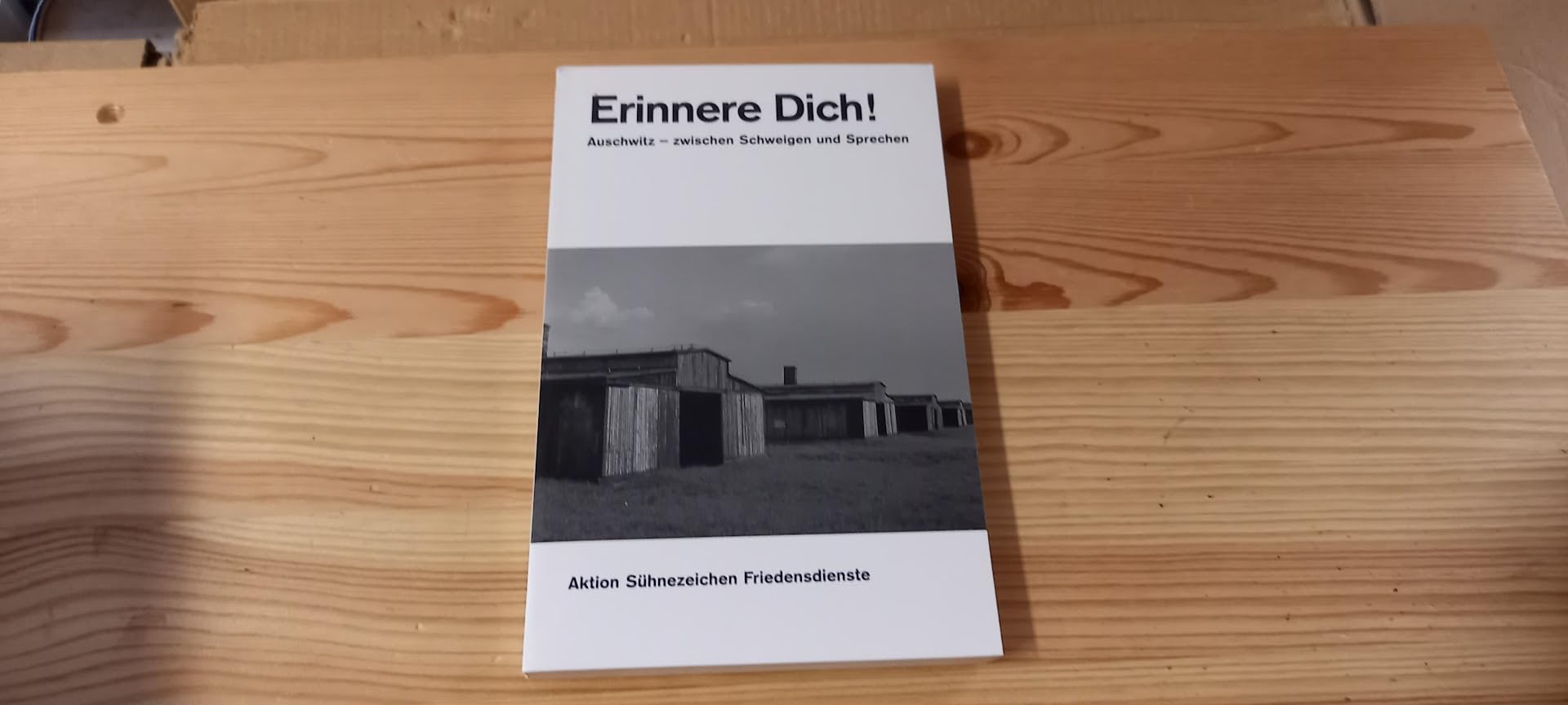 Erinnere Dich: Auschwitz zwischen Schweigen und Sprechen Books