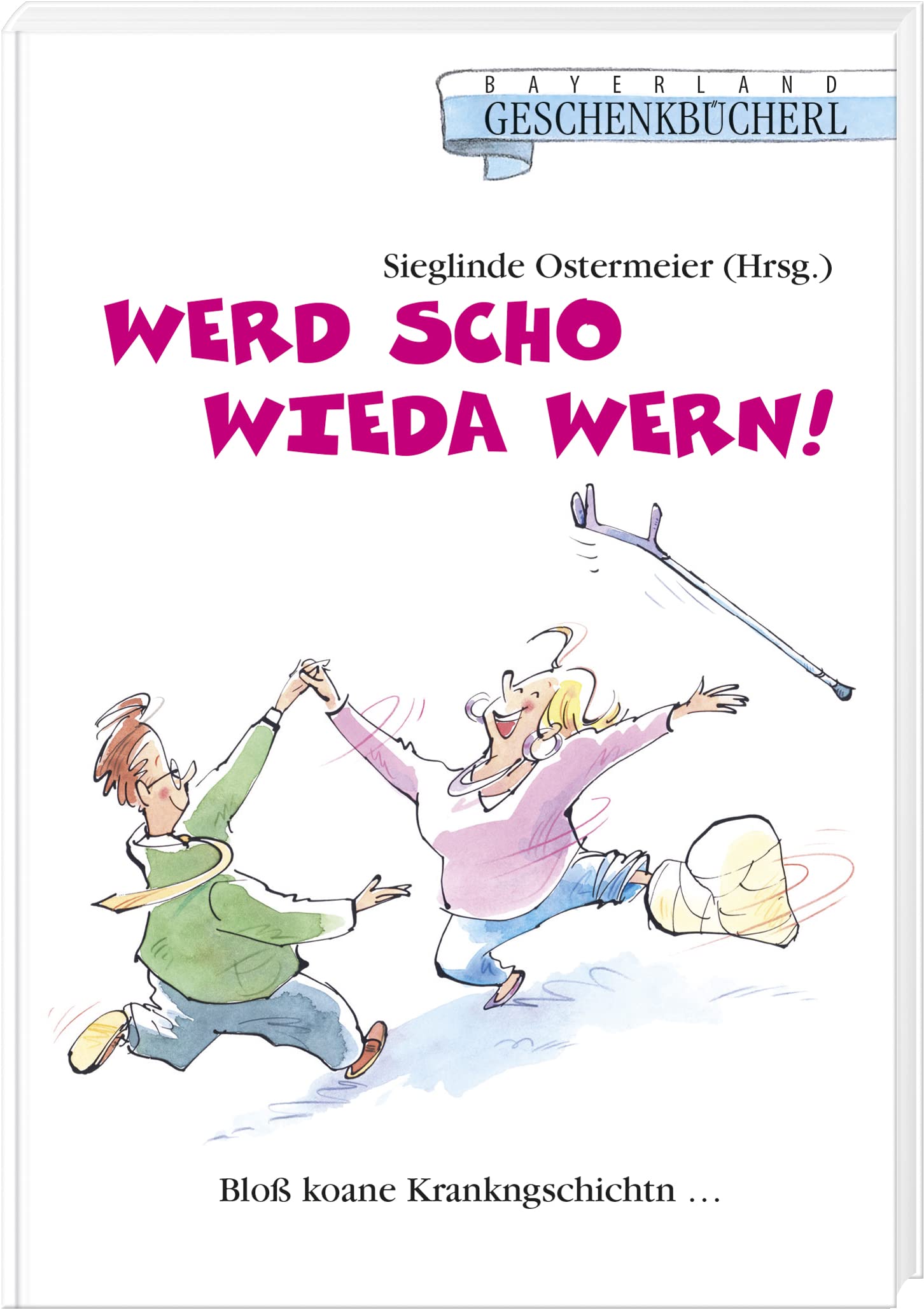 Werd scho wieda wern!: Bloß koane Krankngschichtn... Social Sciences