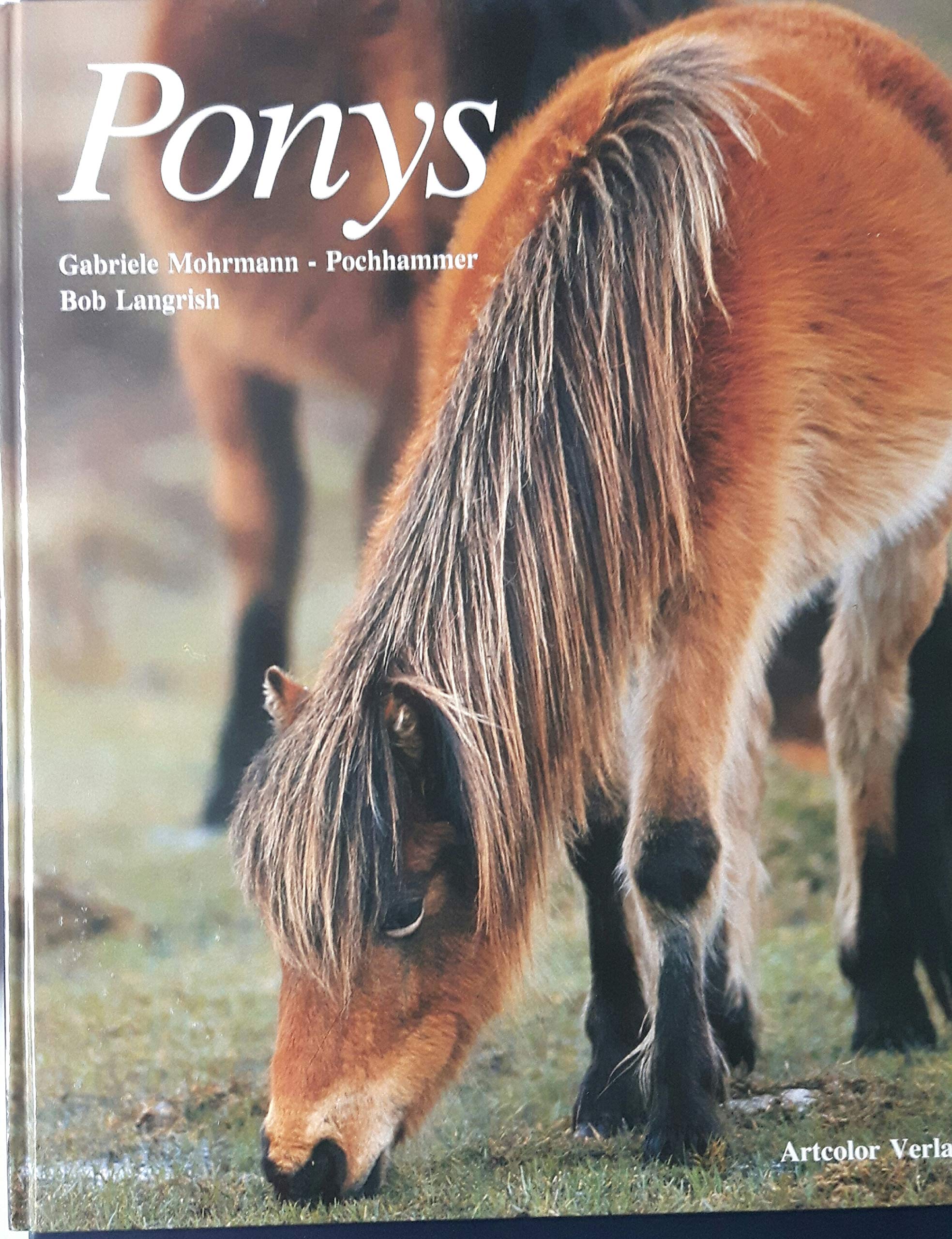 Product Image: Ponys