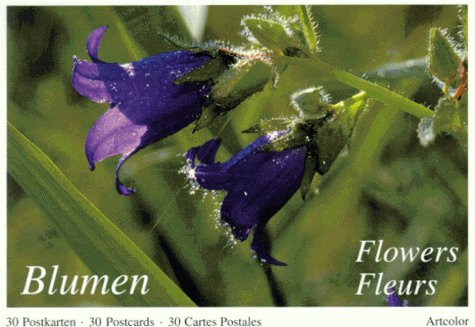 Blumen /Flowers. 30 Postkarten /30 postcards /30 Cartes Postales Travel