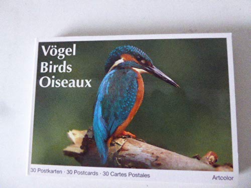Vögel /Birds /Oiseaux. 30 Postkarten /30 Postcards /30 Cartes Postales Travel