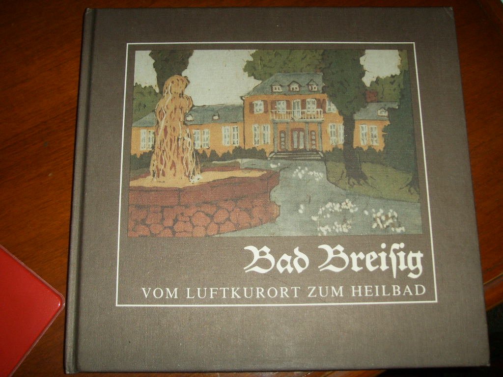 Bad Breisig: Vom Luftkurort zum Heilbad Books