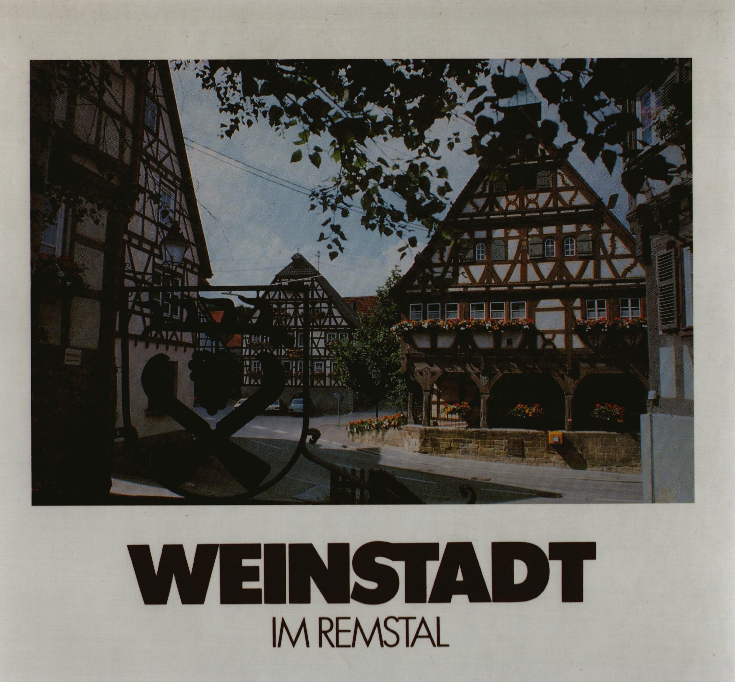 Weinstadt im Remstal: Porträt Books
