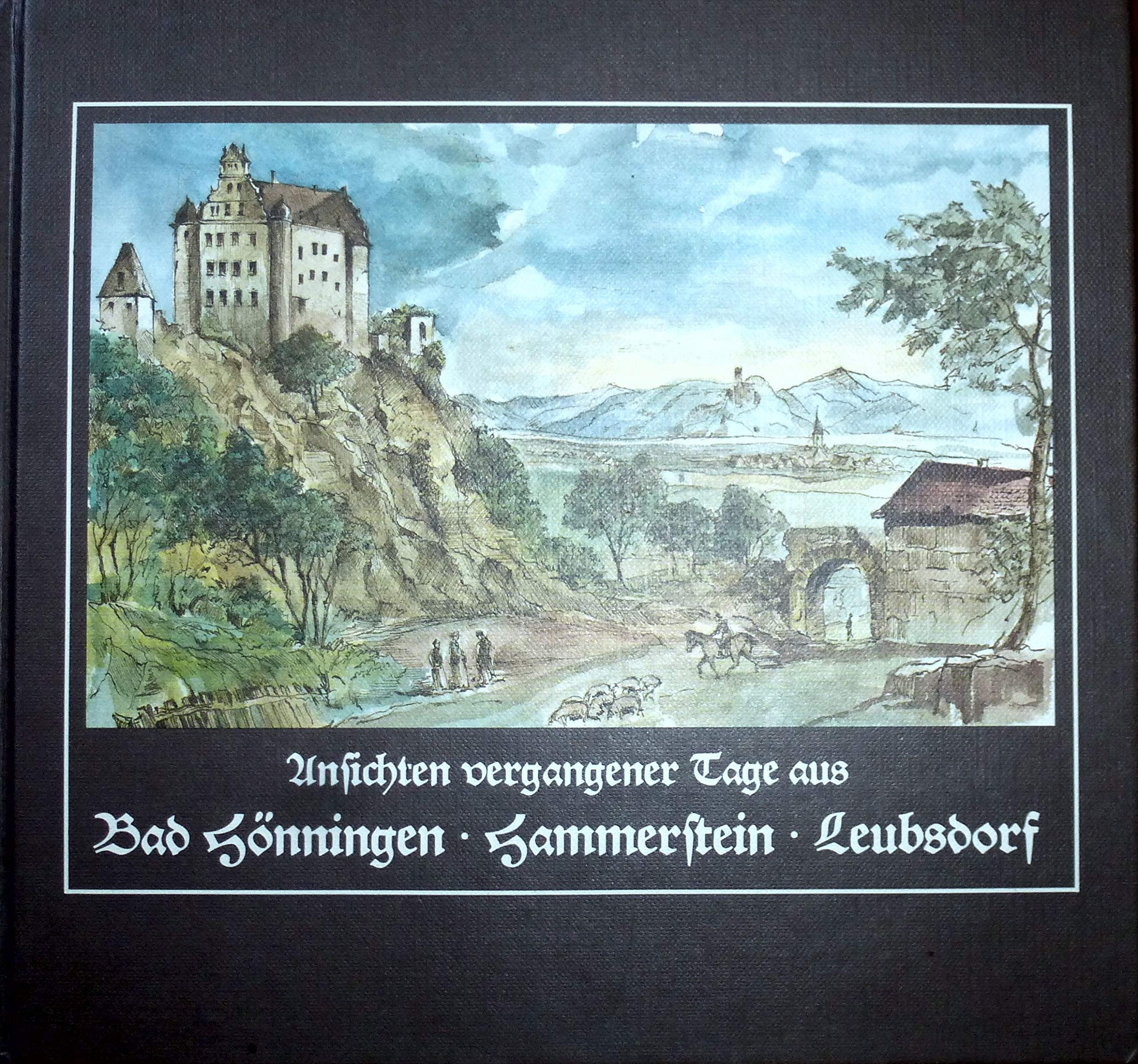 Ansichten vergangener Tage aus Bad Hönningen, Hammerstein, Leubsdorf Politics & History