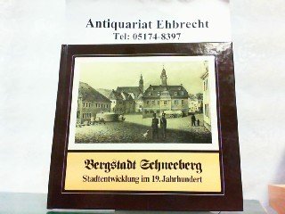 Bergstadt Schneeberg: Stadtentwicklung im 19. Jahrhundert Books