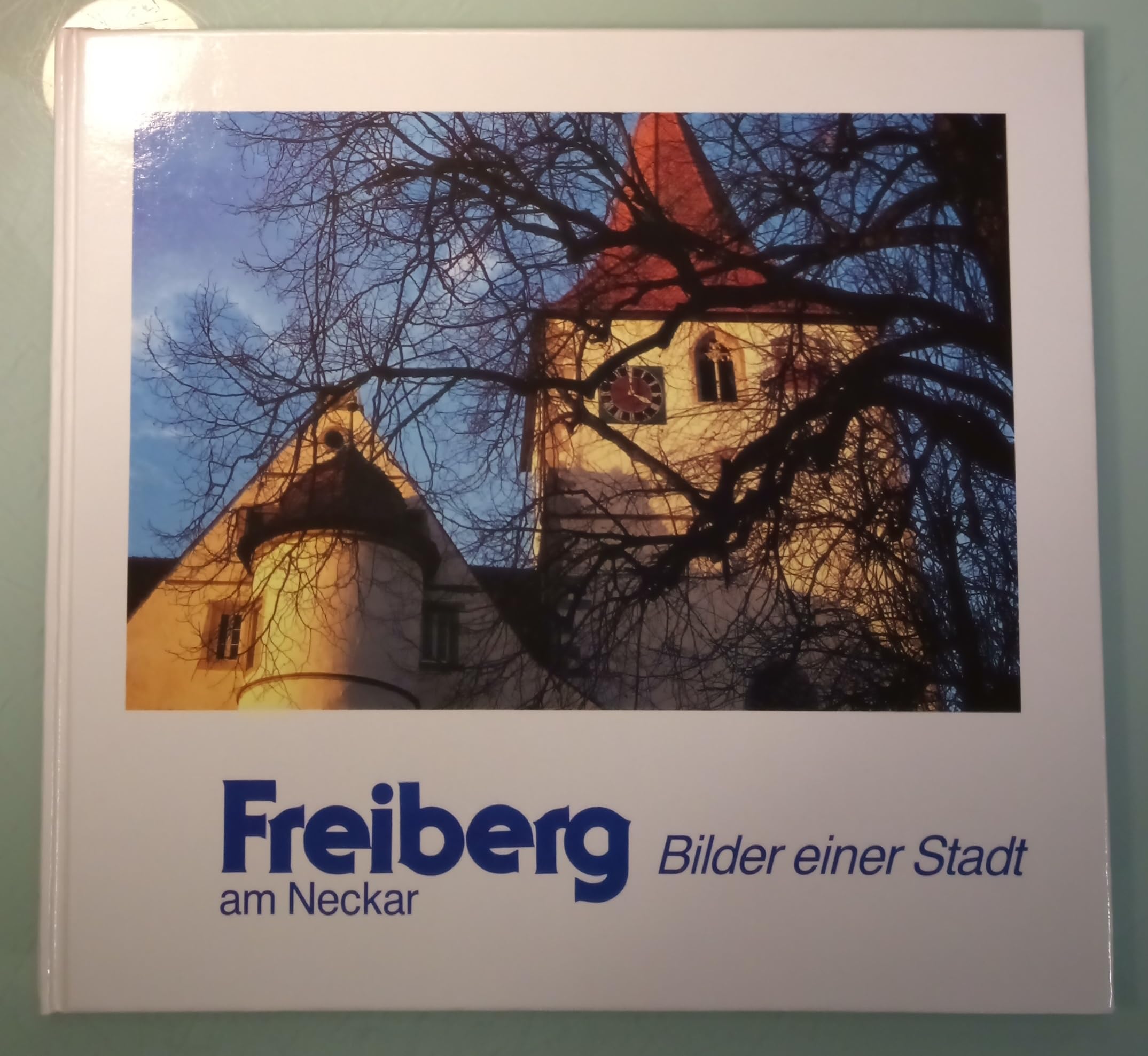 Freiberg am Neckar: Bilder einer Stadt Books