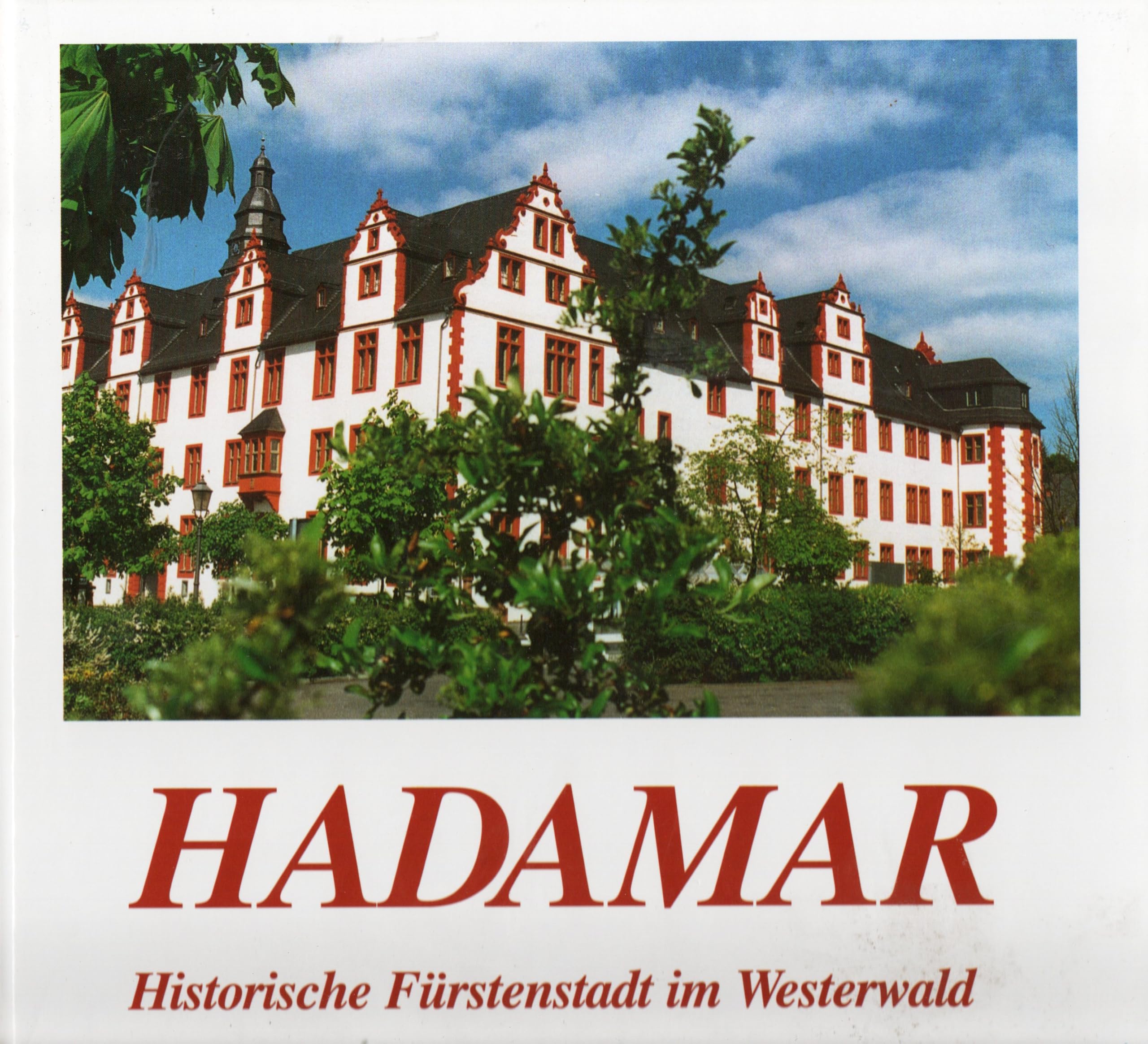 Hadamar: Die fürstliche Erlebnisstadt Film, Art & Culture
