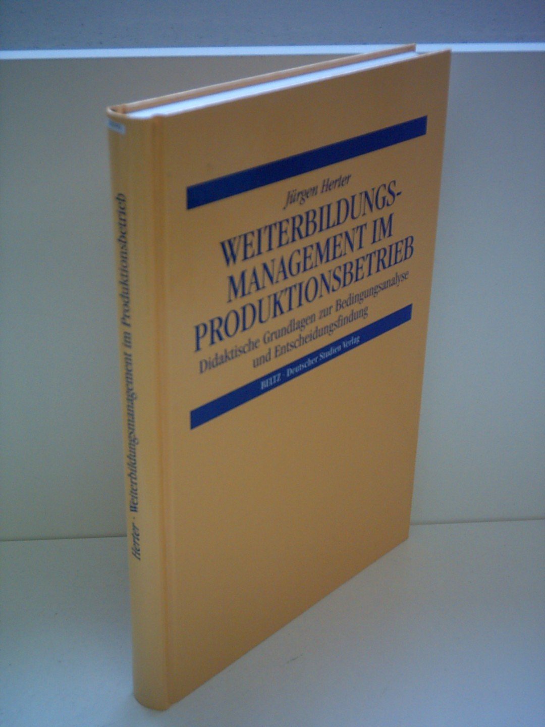 Weiterbildungsmanagement im Produktionsbetrieb: Didaktische Grundlagen zur Bedingungsanalyse und Entscheidungsfindung Business, Finance & Career