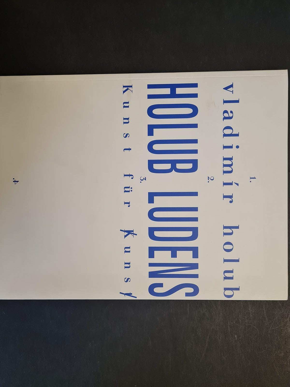 vladimir_holub,_holub_ludens-k_unst_fur_kunst book