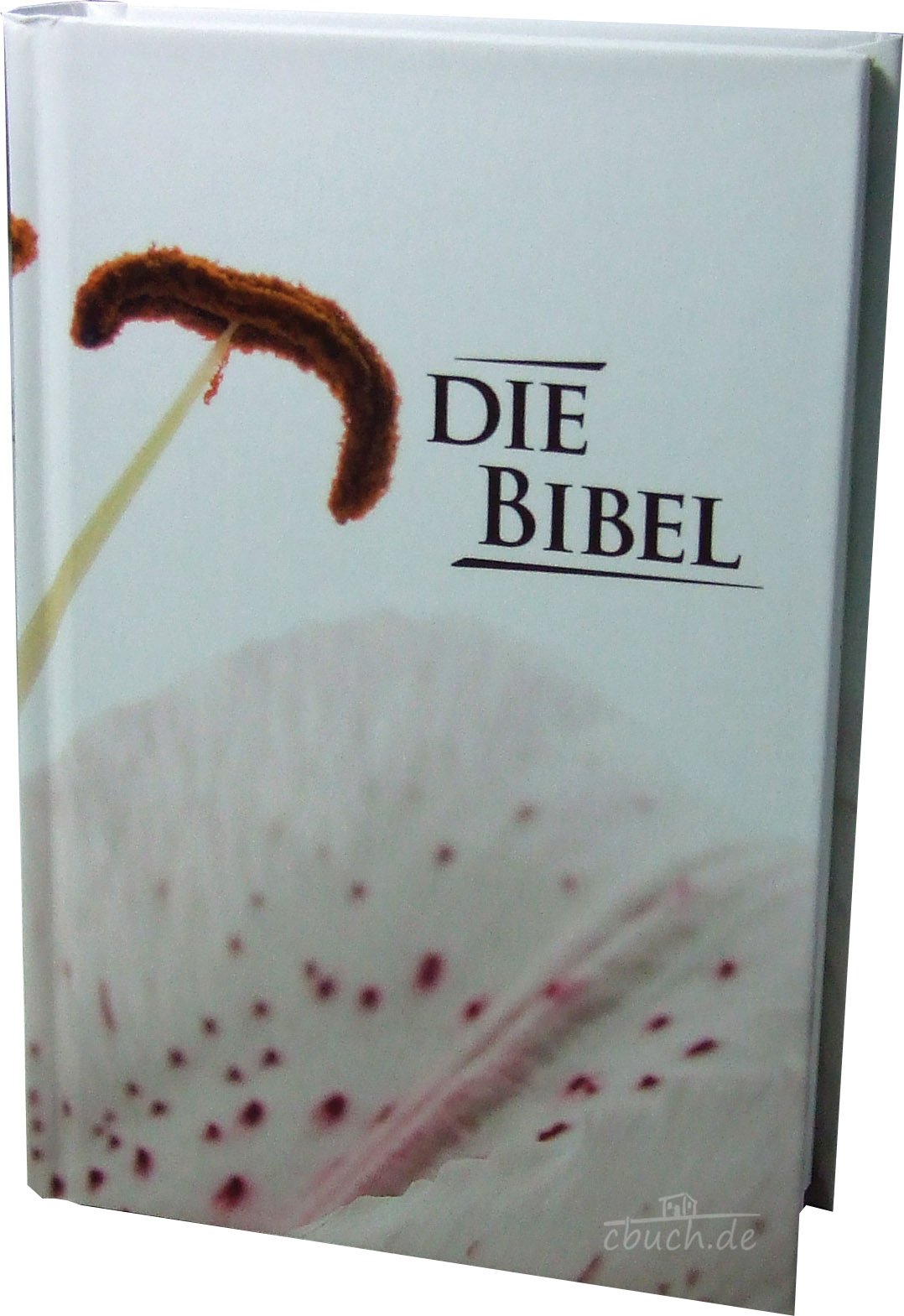 Die Bibel - Pocketausgabe (Motiv Rankenmuster): Edition CSV 2003, Hardcover, Papiereinband, fadengeheftet mit Karten Religion & Esotericism