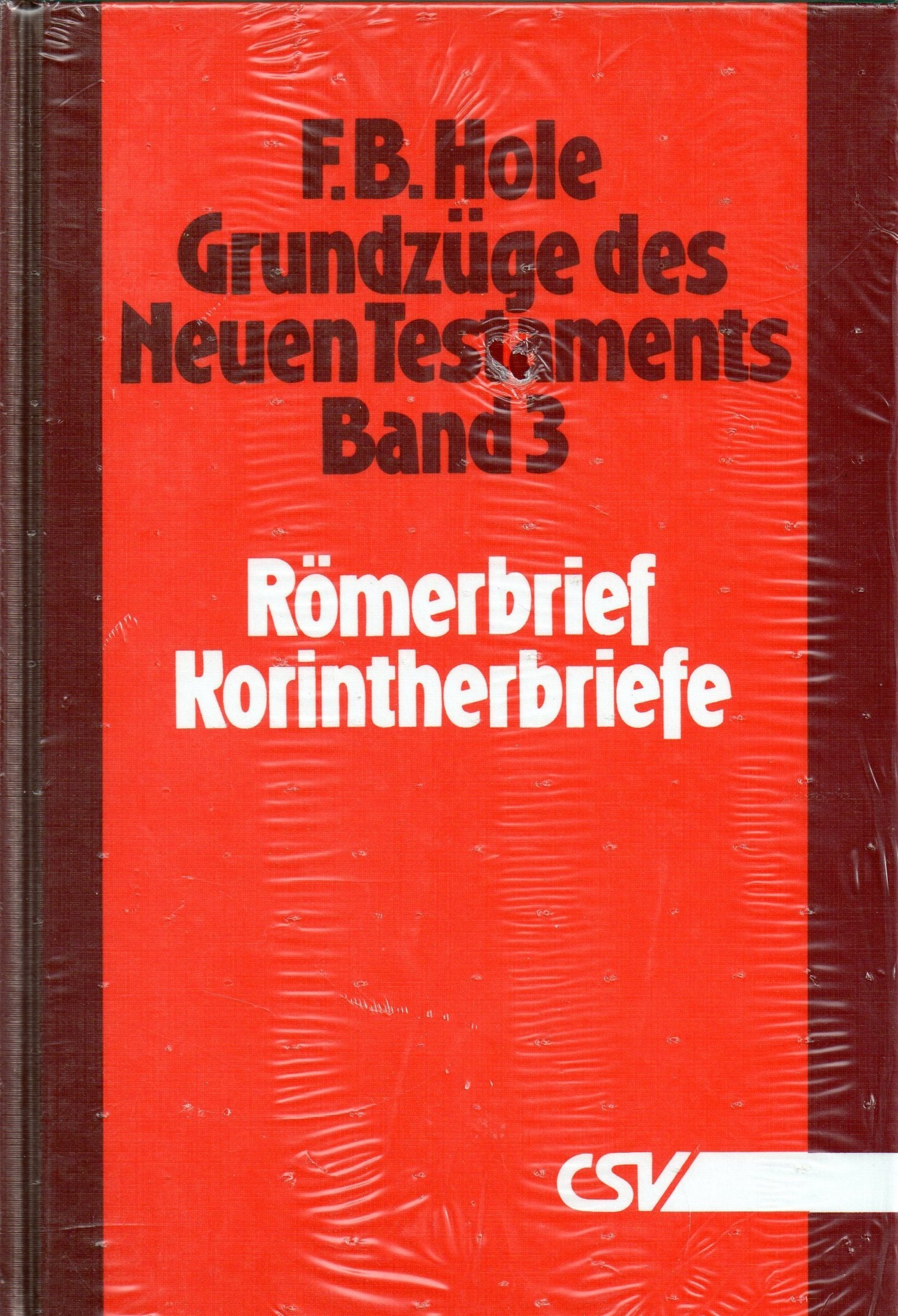 Grundzüge des Neuen Testaments, Band 3 (Römerbrief - Korintherbriefe) Religion & Esotericism