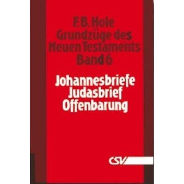 Grundzüge des Neuen Testaments, Band 6: Johannesbriefe, Judasbrief und Offenbarung Religion & Esotericism