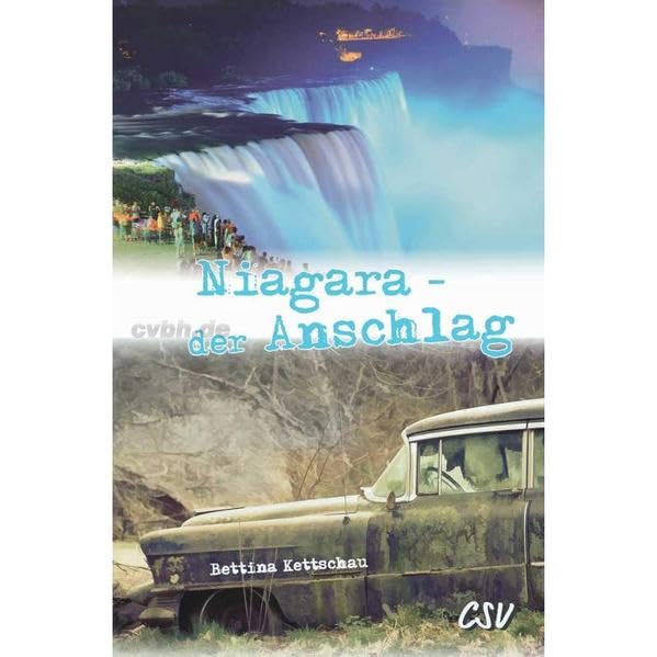 Niagara - der Anschlag: Band 3 der Kanada-Serie Novels & Short Stories