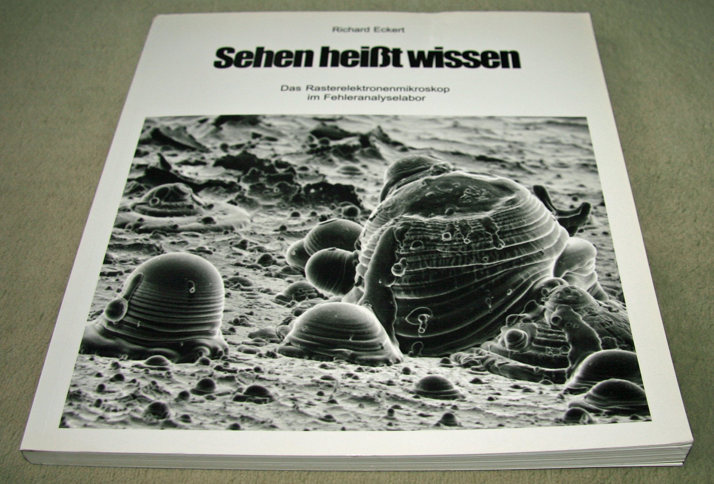 Sehen heisst wissen. Das Rasterelektronenmikroskop im Fehleranalyselabor. Books