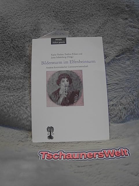 Bildersturm im Elfenbeinturm. Ansätze feministischer Literaturwissenschaft Books