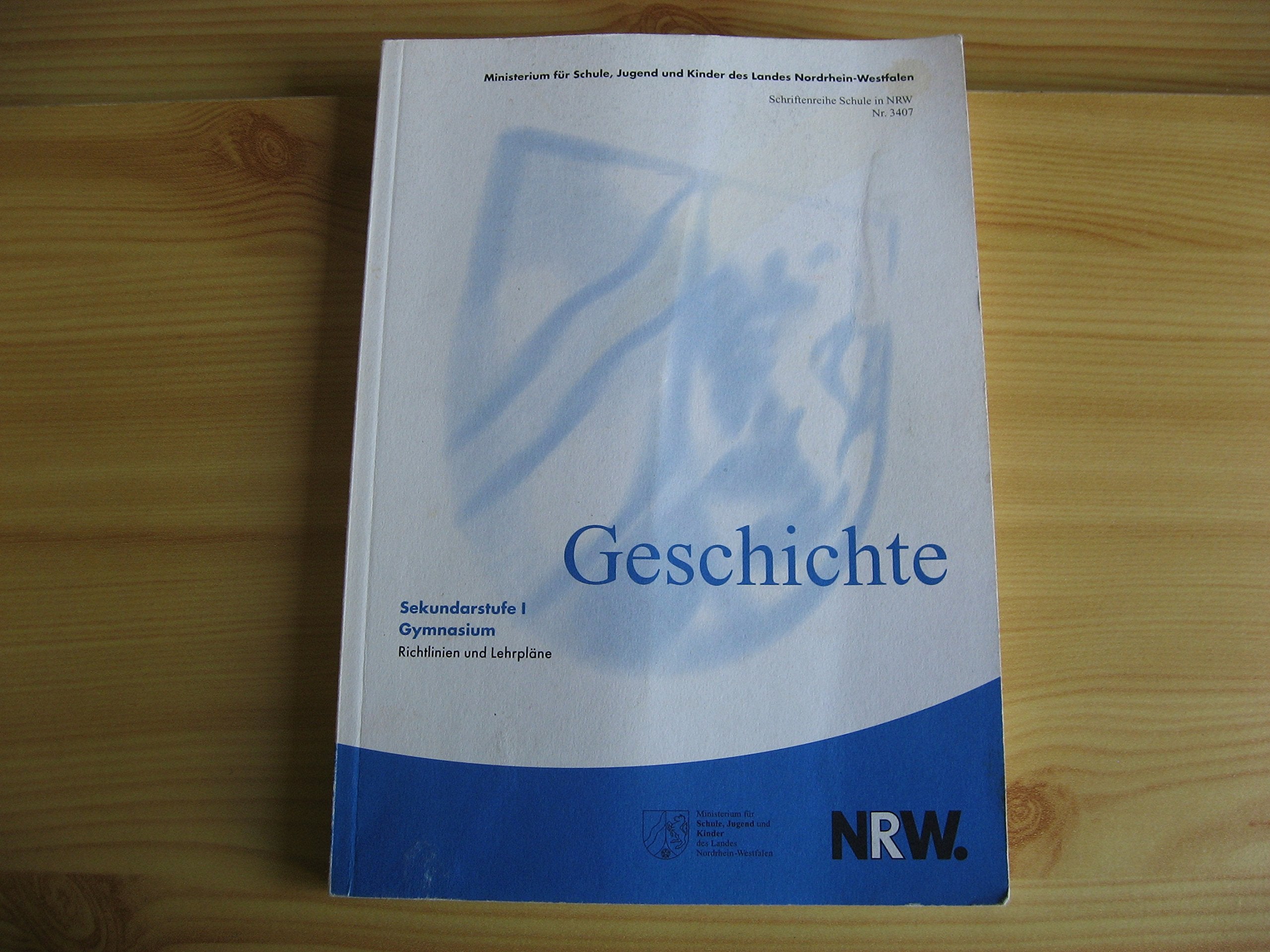 Richtlinien und Lehrpläne Geschichte: Gymnasium Sek I book
