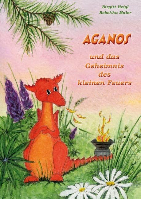 Aganos und das Geheimnis des kleinen Feuers Contemporary literature