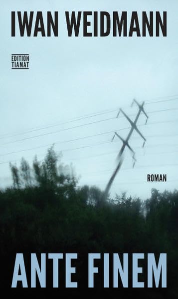 Ante Finem (Critica Diabolis) Contemporary literature