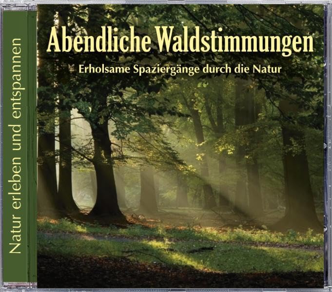 Product Image: Abendliche Waldstimmung