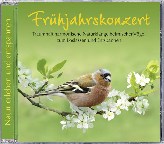 Frühjahrskonzert Other music genres