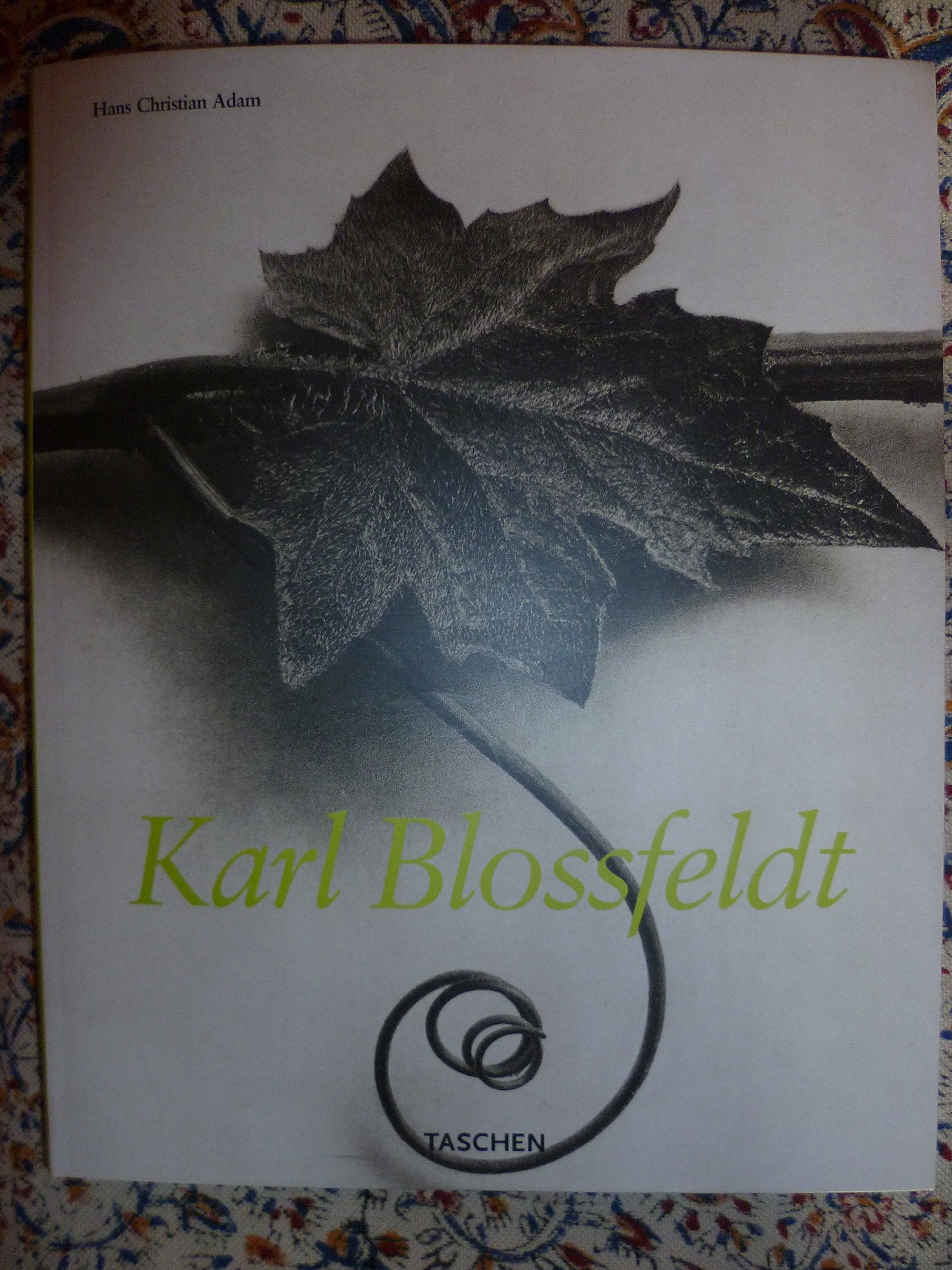 Karl Blossfeldt: Fotografie book