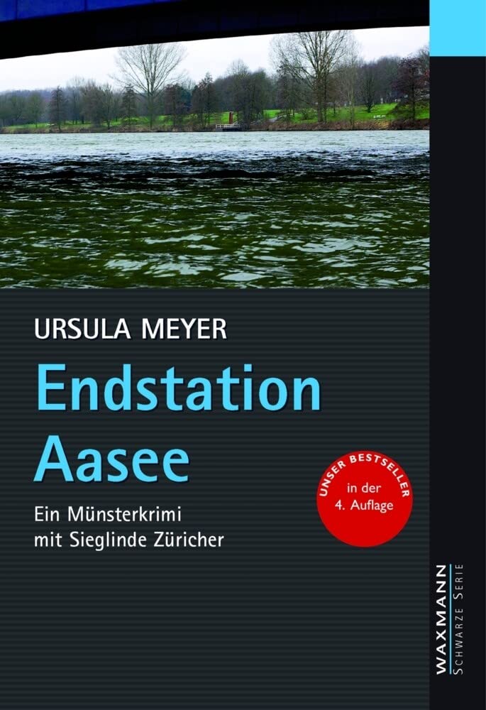Endstation Aasee Contemporary literature Books
