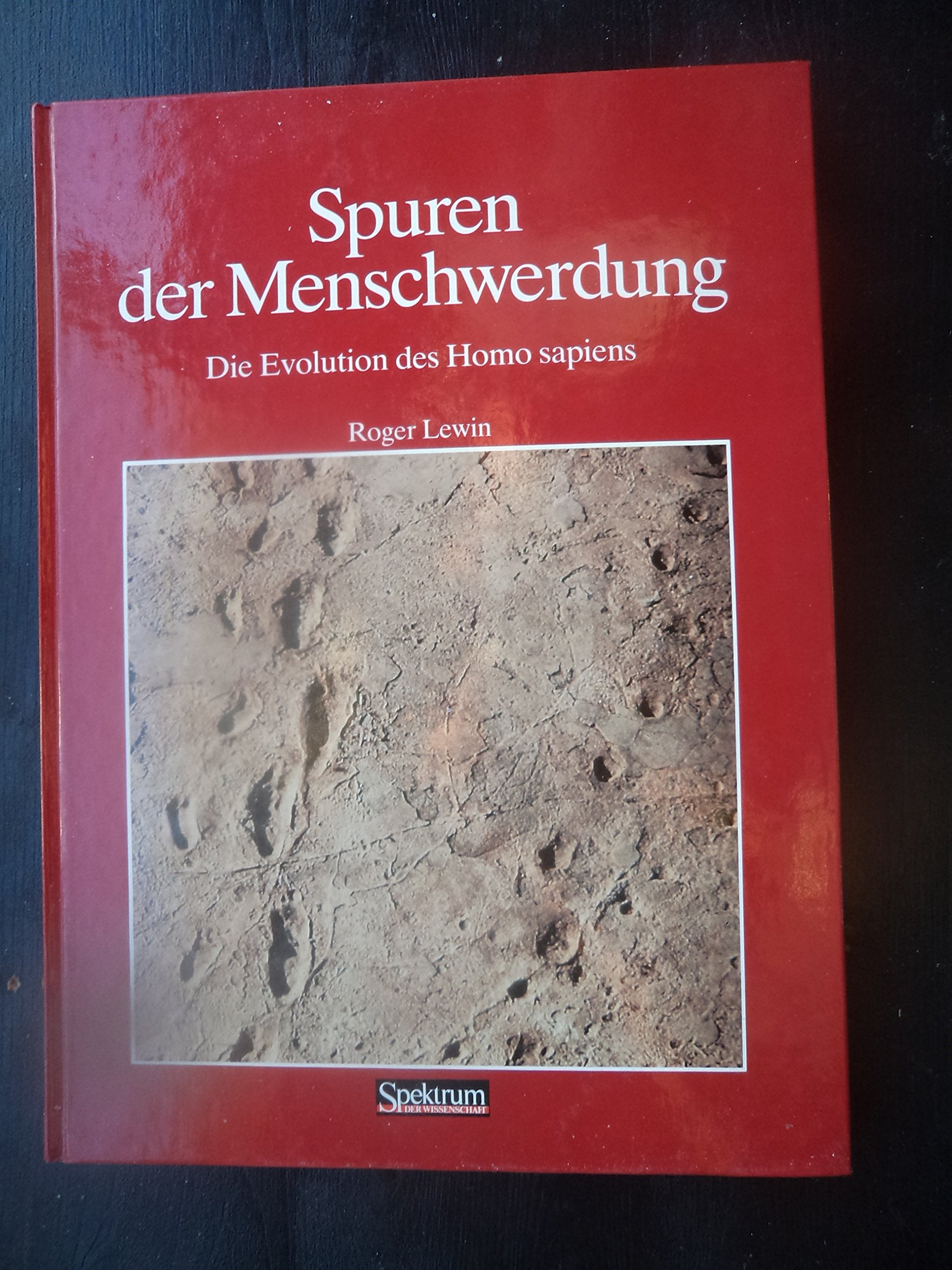 Spuren der Menschwerdung Law