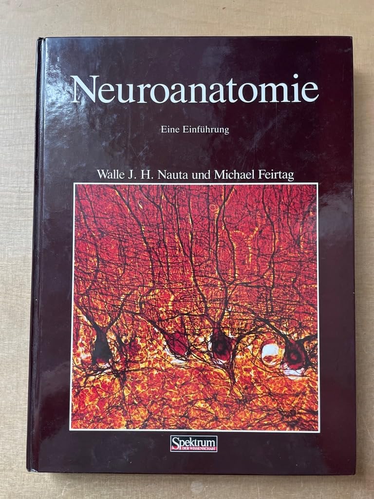 Neuroanatomie Law