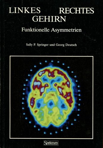 Product Image: LINKES GEHIRN / RECHTES GEH.