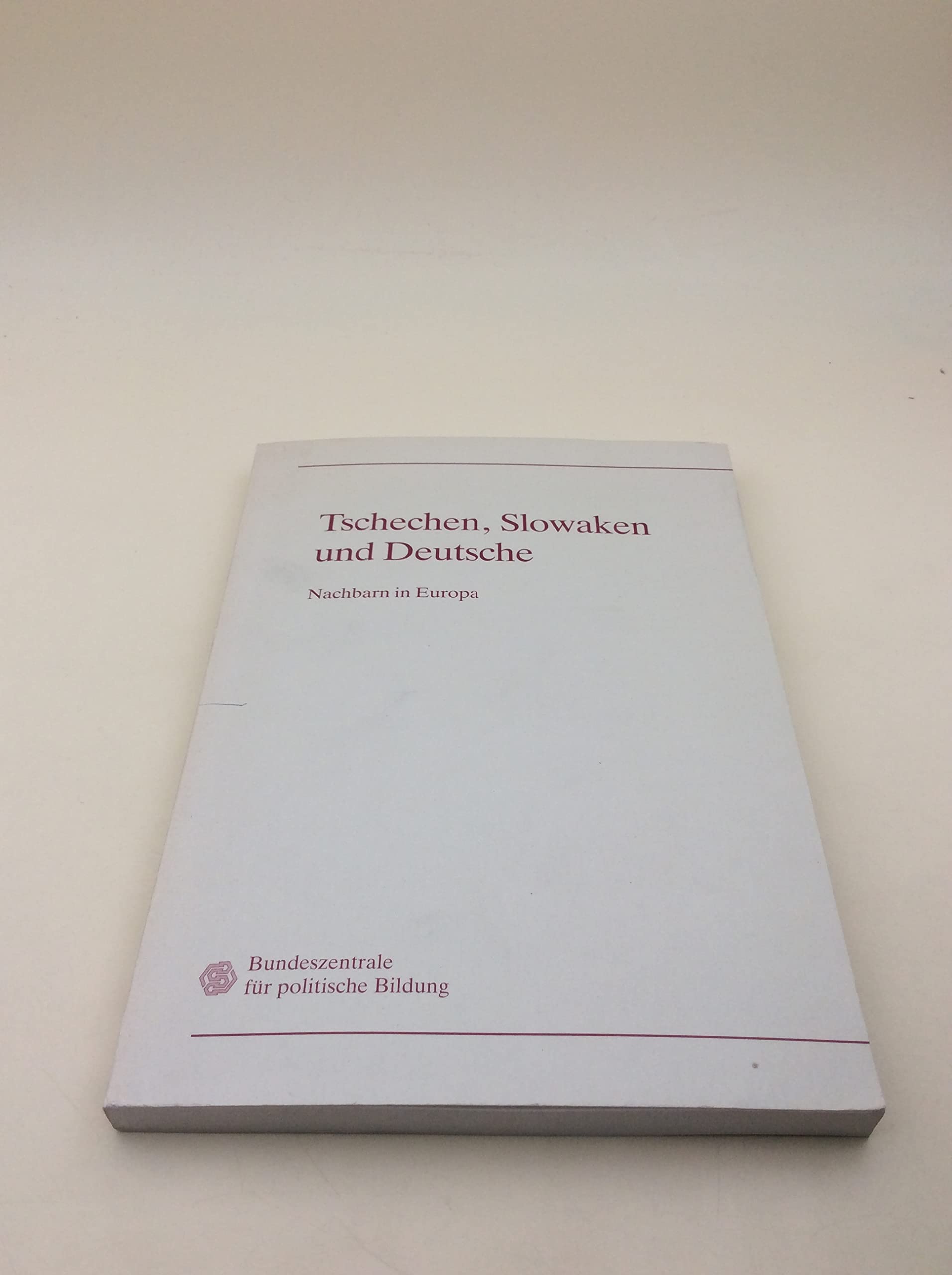 Tschechen, Slowaken und Deutsche: Nachbarn in Europa (German Edition) Contemporary literature