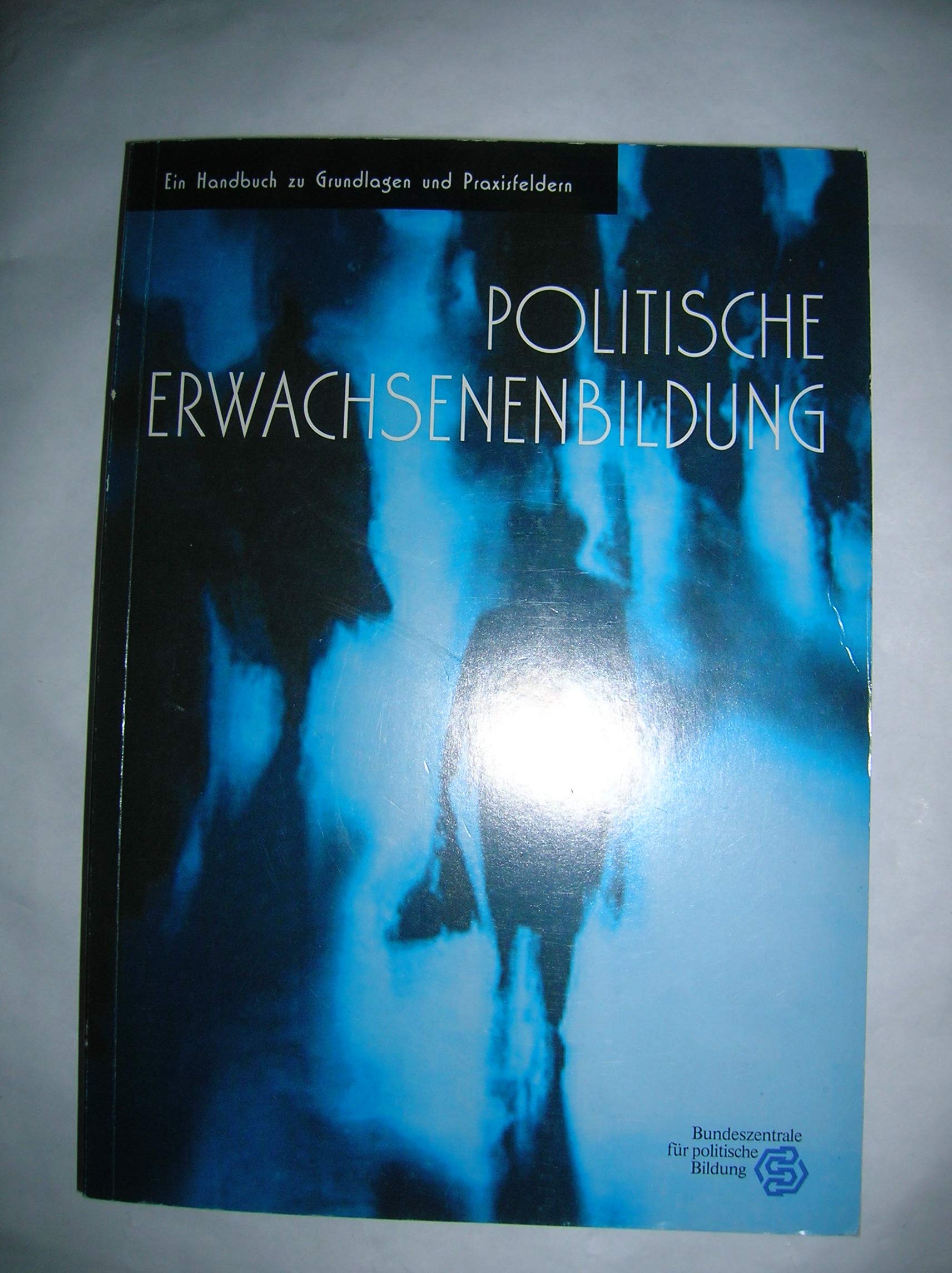 Politische Erwachsenenbildung Books