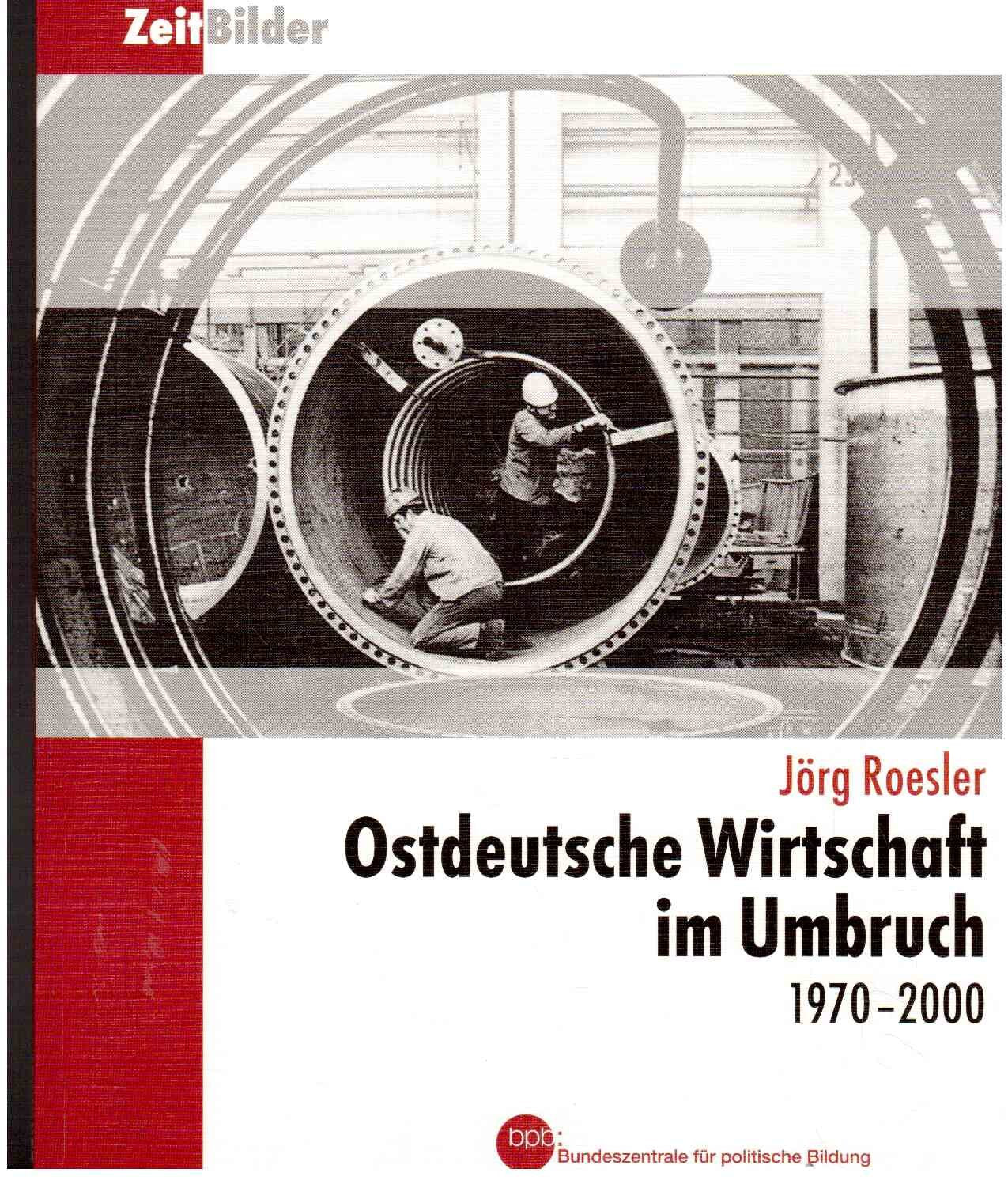 Ostdeutsche Wirtschaft im Umruch 1970 - 2000 Books