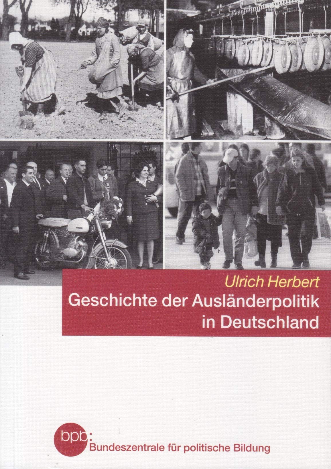 Geschichte der Ausländerpolitik in Deutschland. Saisonarbeiter - Zwangsarbeiter - Gastarbeiter - Flüchtlinge Books