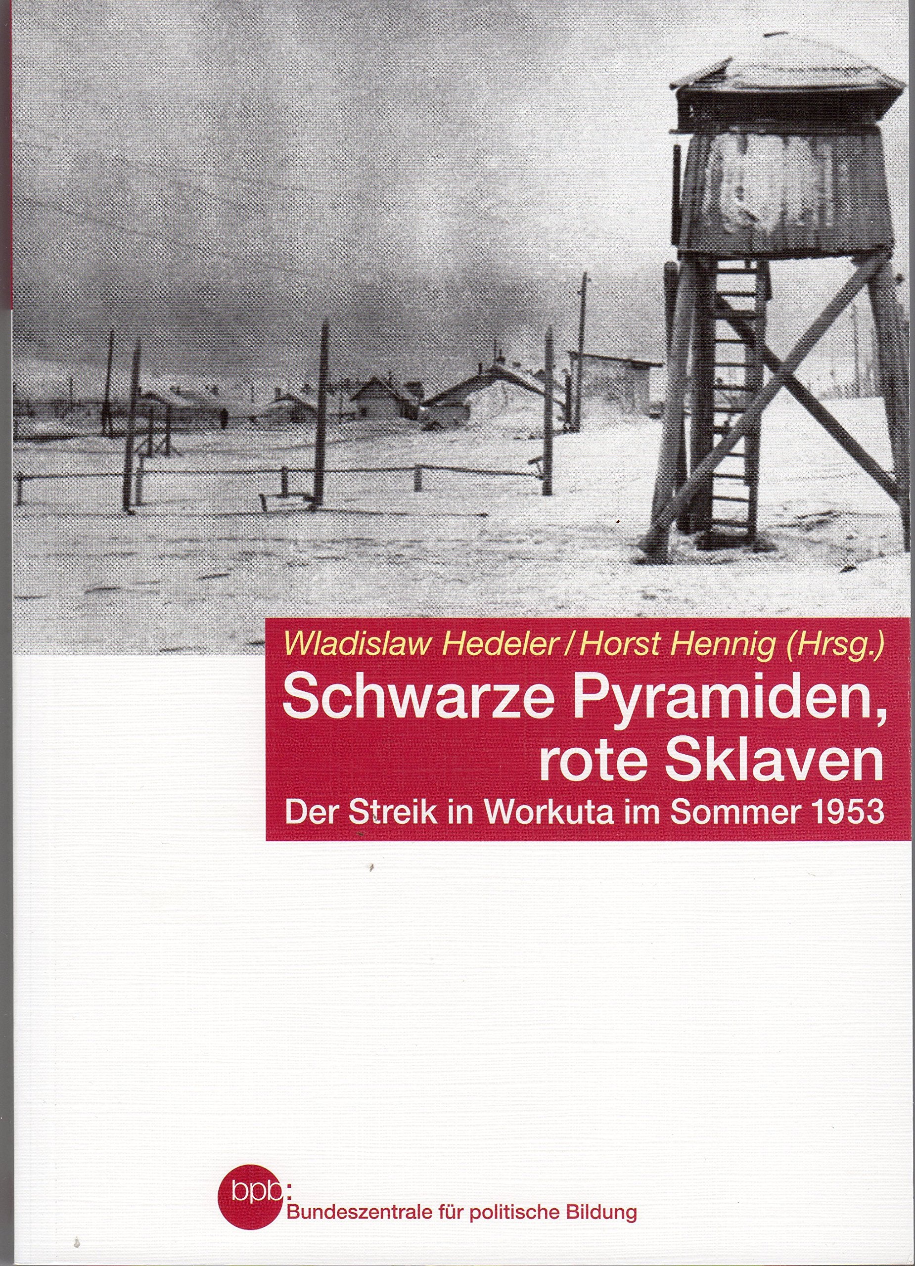 Schwarze Pyramiden, rote Sklaven. Der Streik in Workuta im Sommer 1953. (Schriftenreihe, Band 686) Politics & History