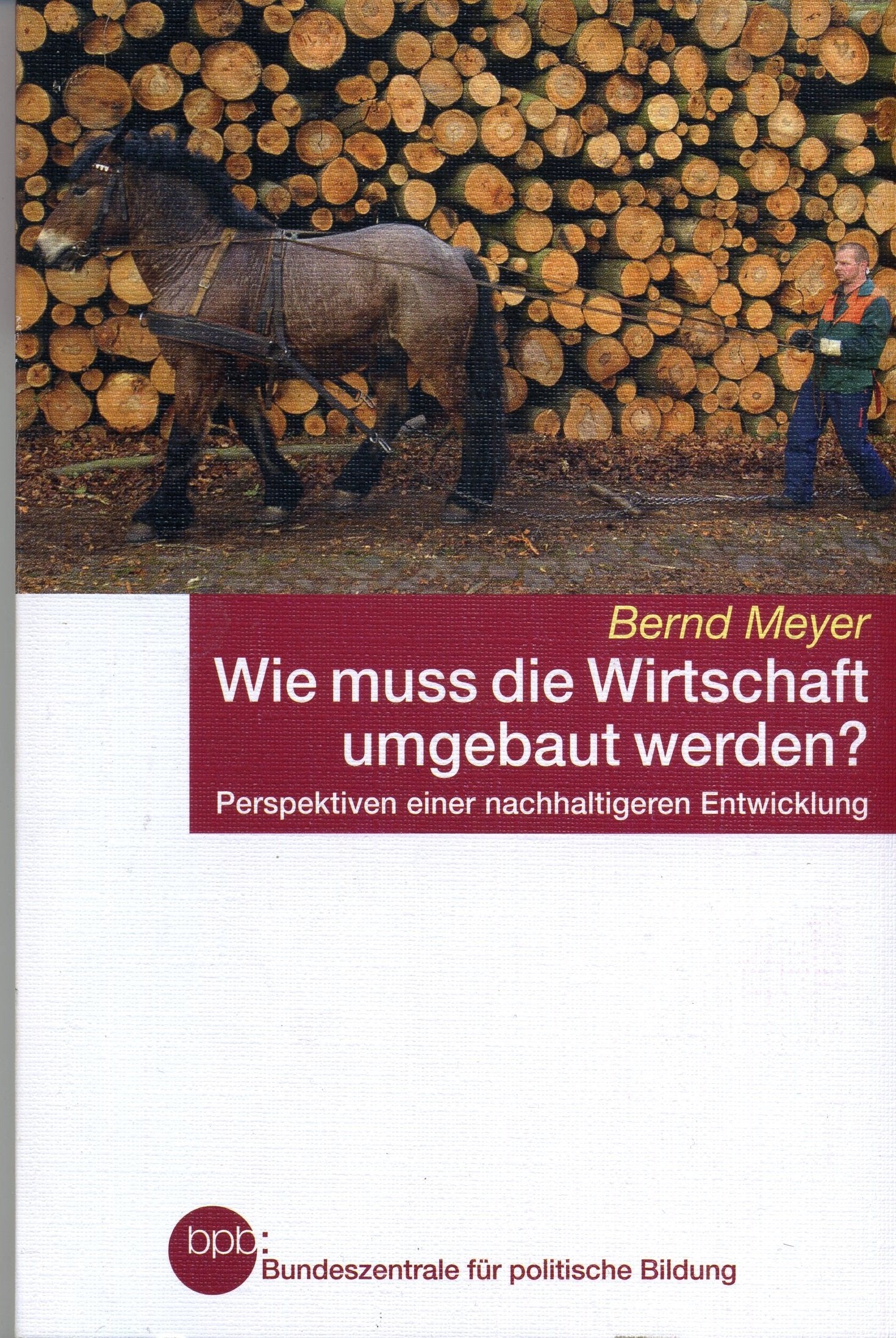Wie muss die Wirtschaft umgebaut werden?; Perspektiven einer nachhaltigeren Entwicklung Mathematics