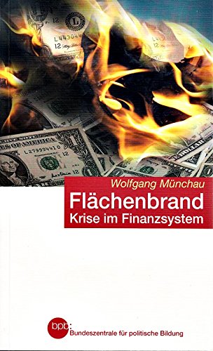 Flächenbrand. Krise im Finanzsystem Books