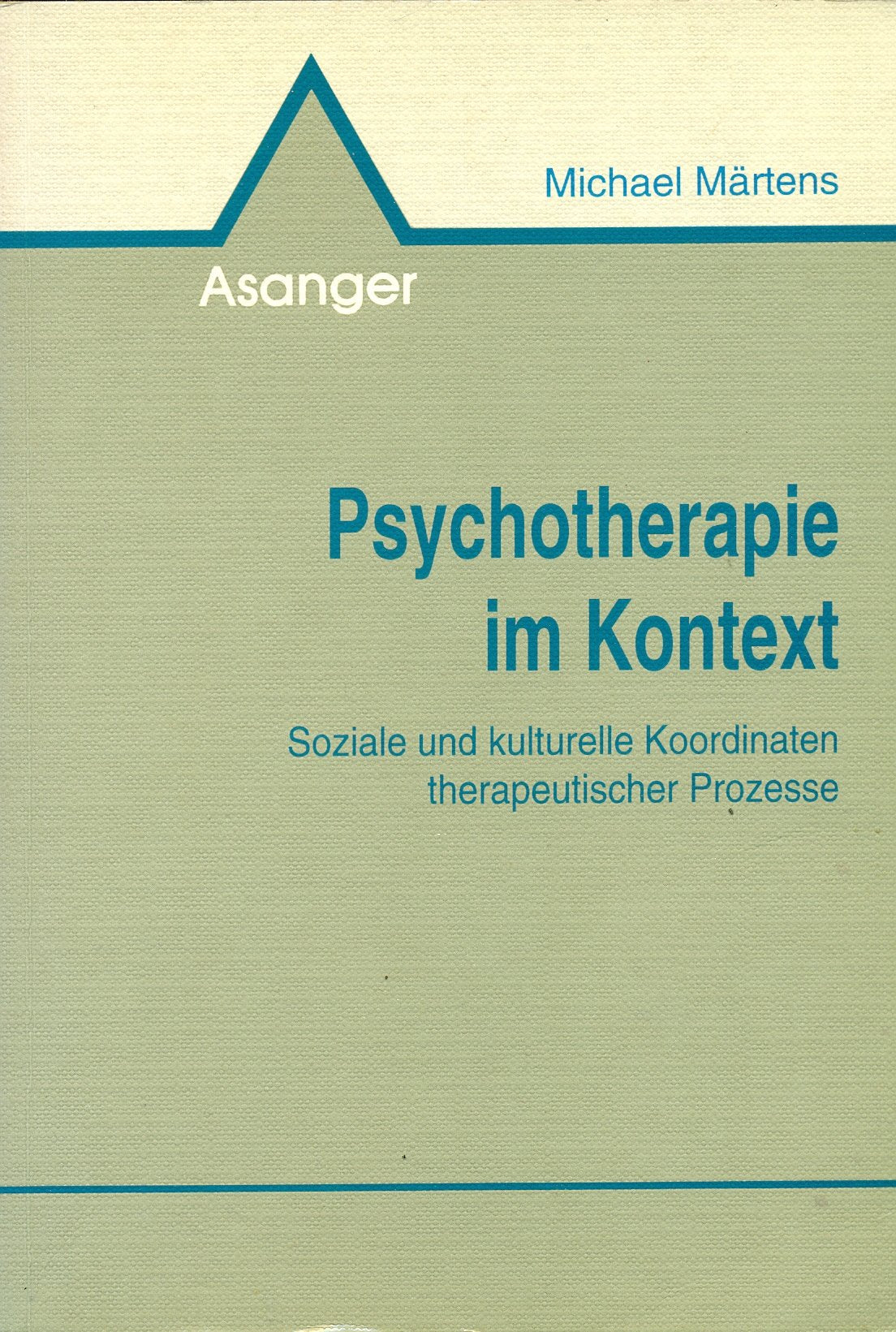 Psychotherapie im Kontext. Soziale und kulturelle Koordinaten therapeutischer Prozesse book