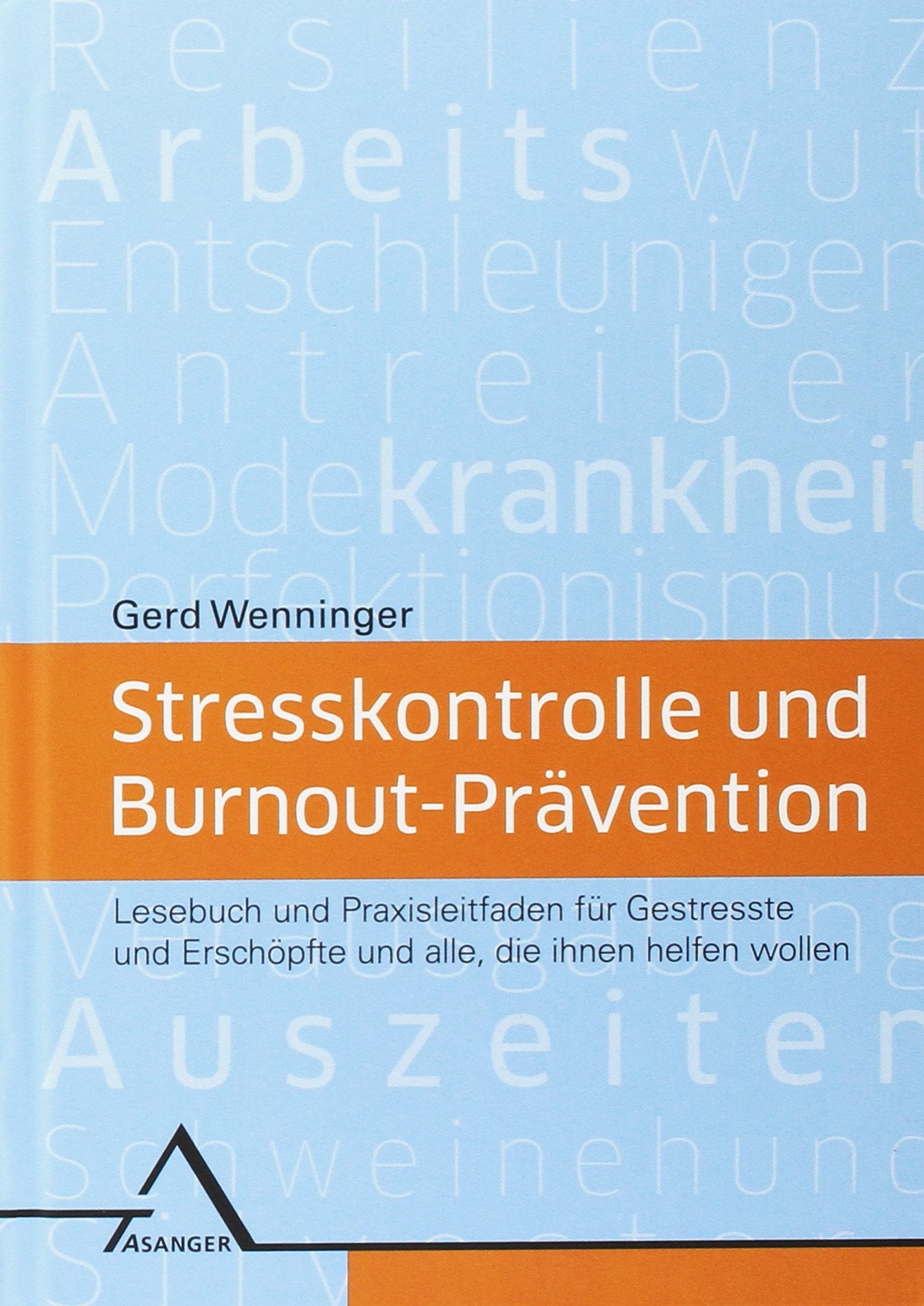 Stresskontrolle und Burnout-Prävention: Lesebuch und Praxisleitfaden für Gestresste und Erschöpfte und alle, die ihnen helfen wollen Politics & Society Books