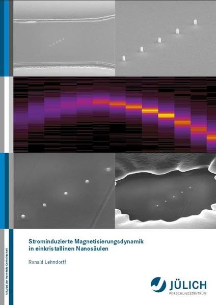 Strominduzierte Magnetisierungsdynamik in einkristallinen Nanosäulen book