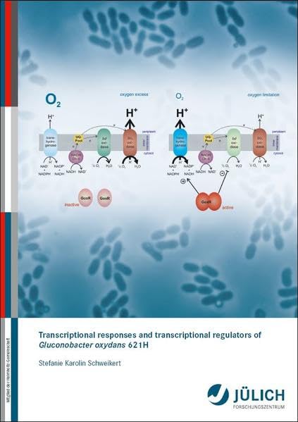 Transcriptional responses and transcriptional regulators of Gluconobacter oxydans 621H Natural Sciences