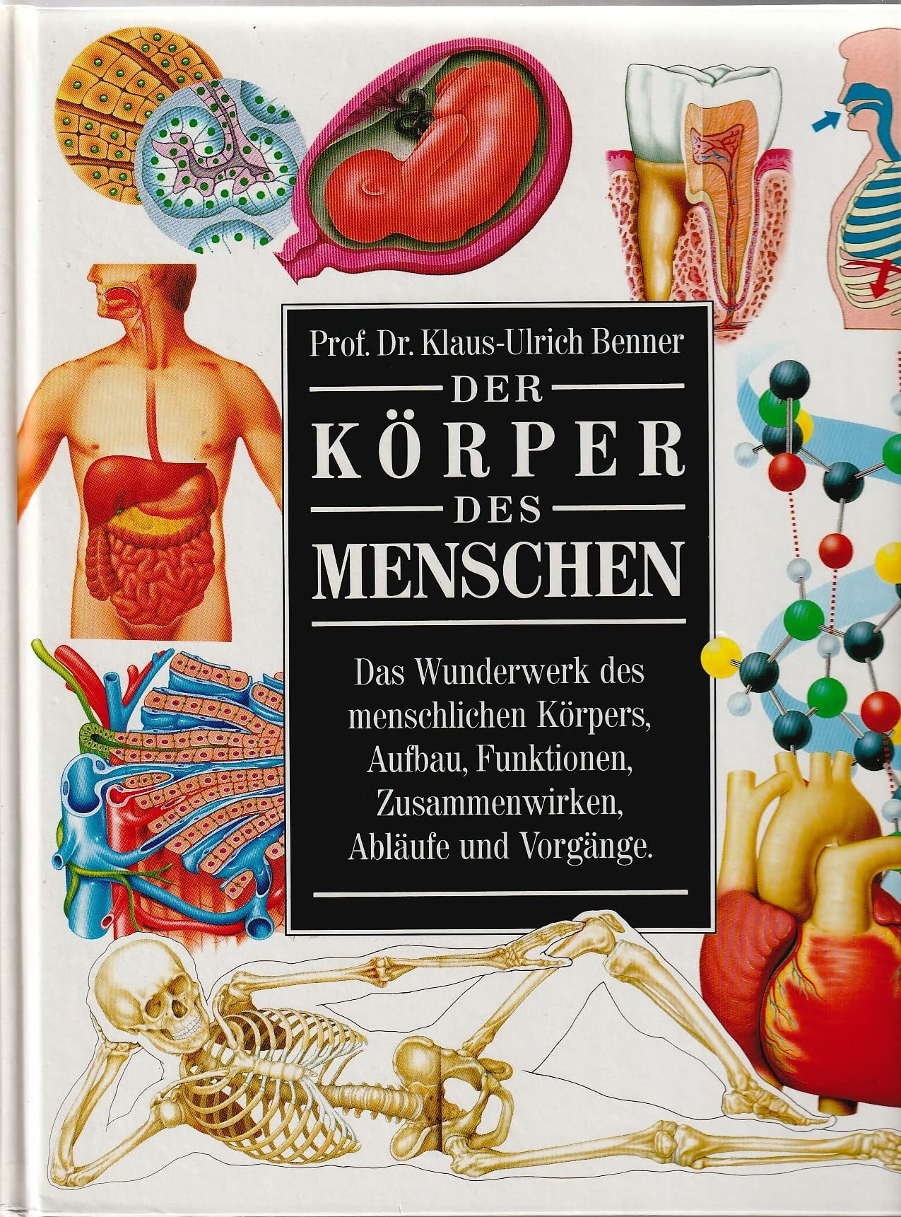 Der Körper des Menschen: Das Wunderwerk des menschlichen Körpers, Aufbau, Funktionen, Zusammenwirken, Abläufe und Vorgänge Medicine