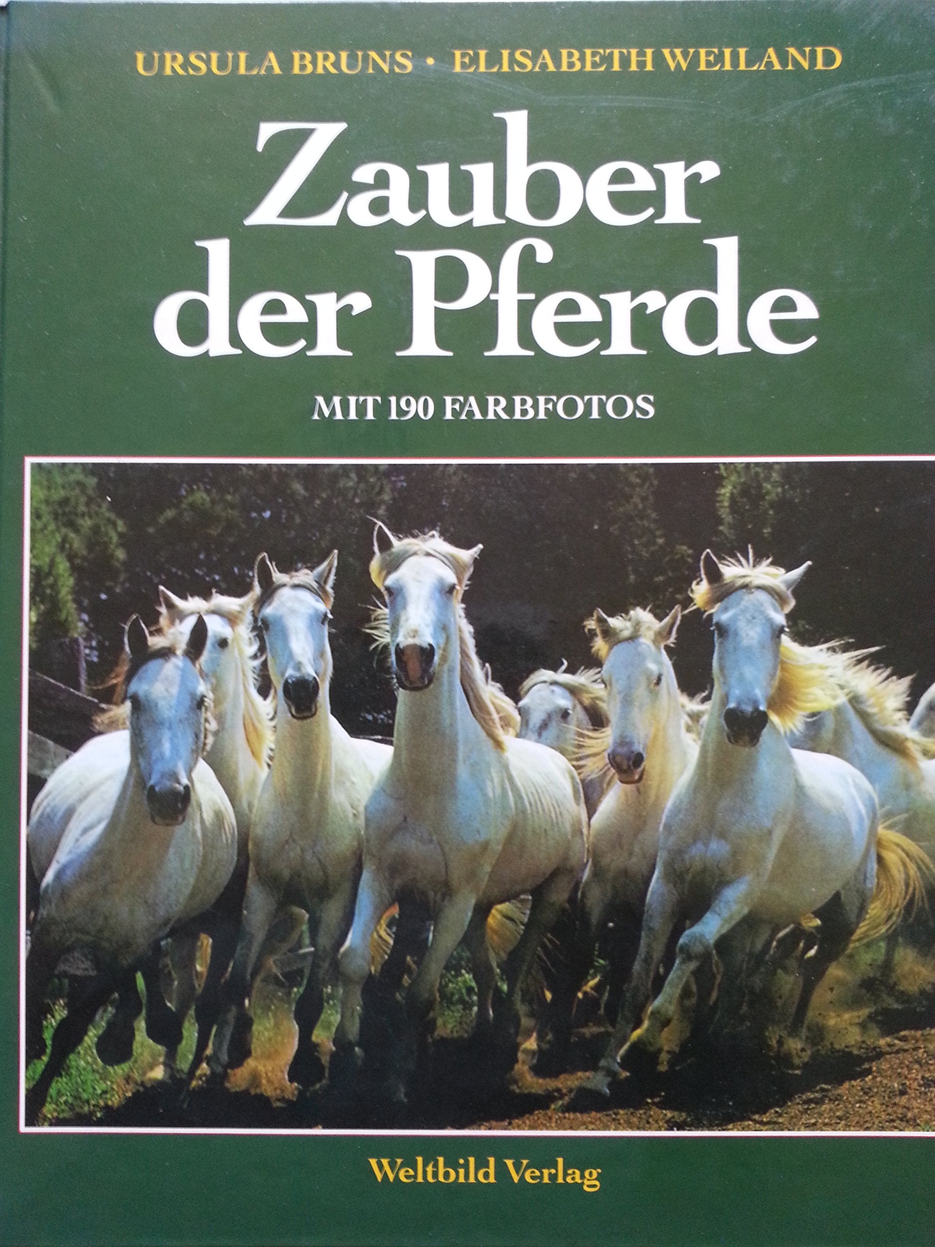 Zauber der Pferde Second-hand books on film, art and culture