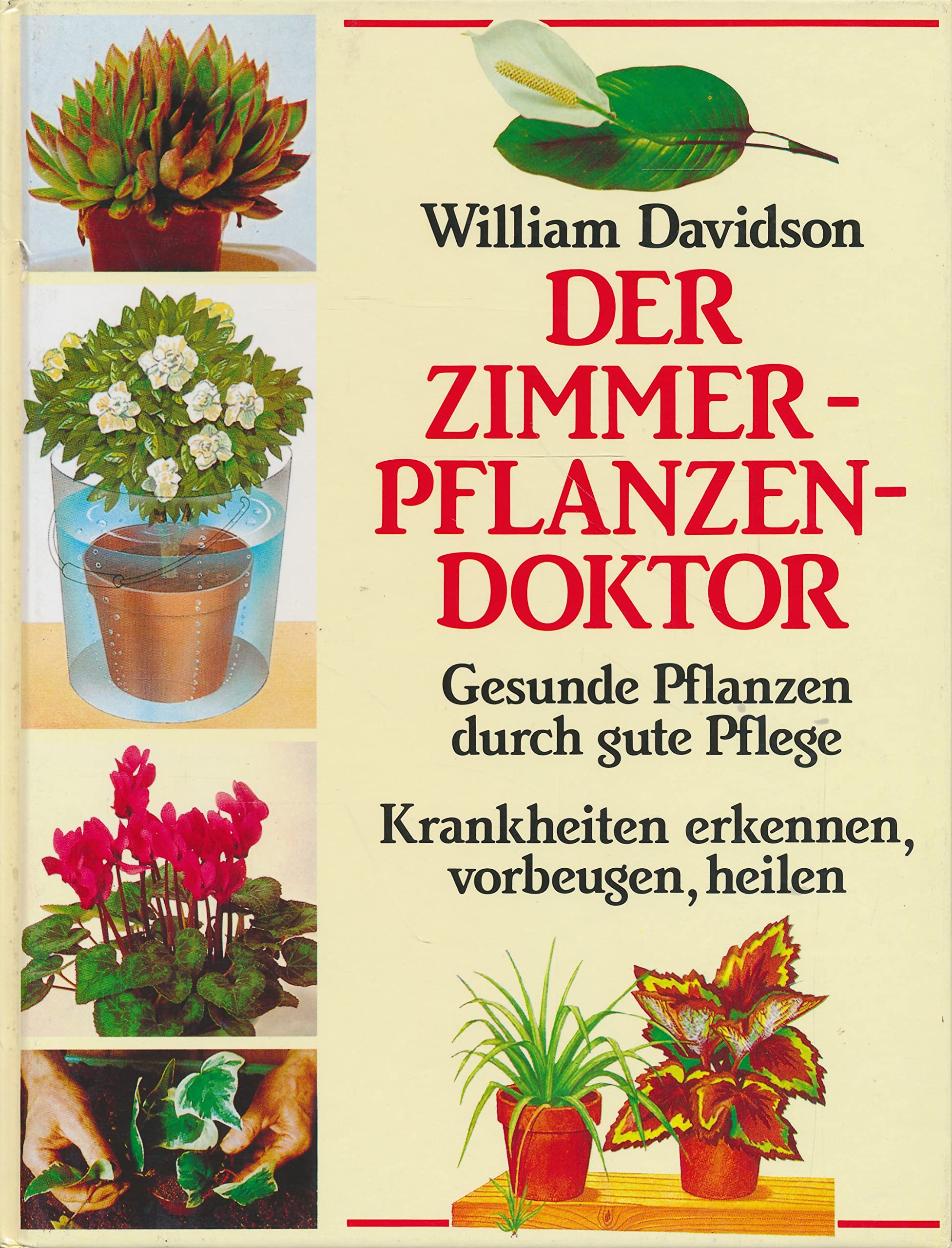 Der Zimmerpflanzendoktor: Gesunde Pflanzen durch gute Pflege. Krankheiten erkennen, vorbeugen, heilen Film, Art & Culture