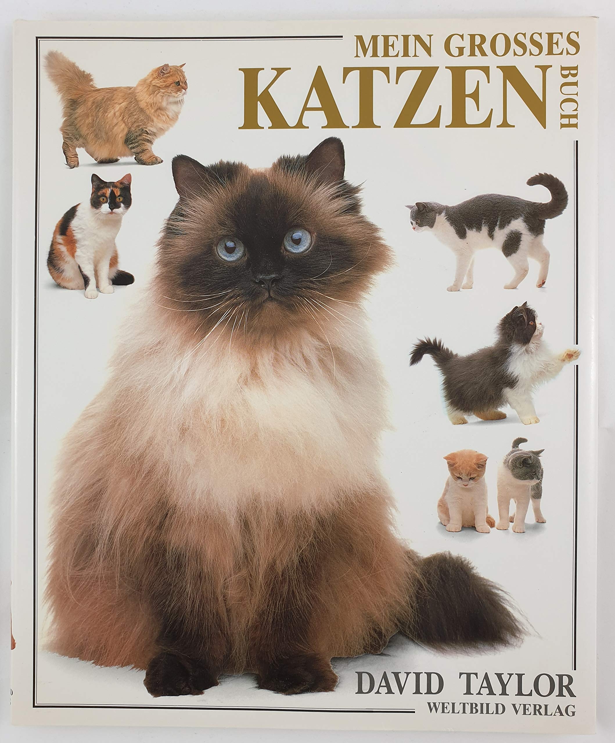 Mein großes Katzenbuch Books about Pets