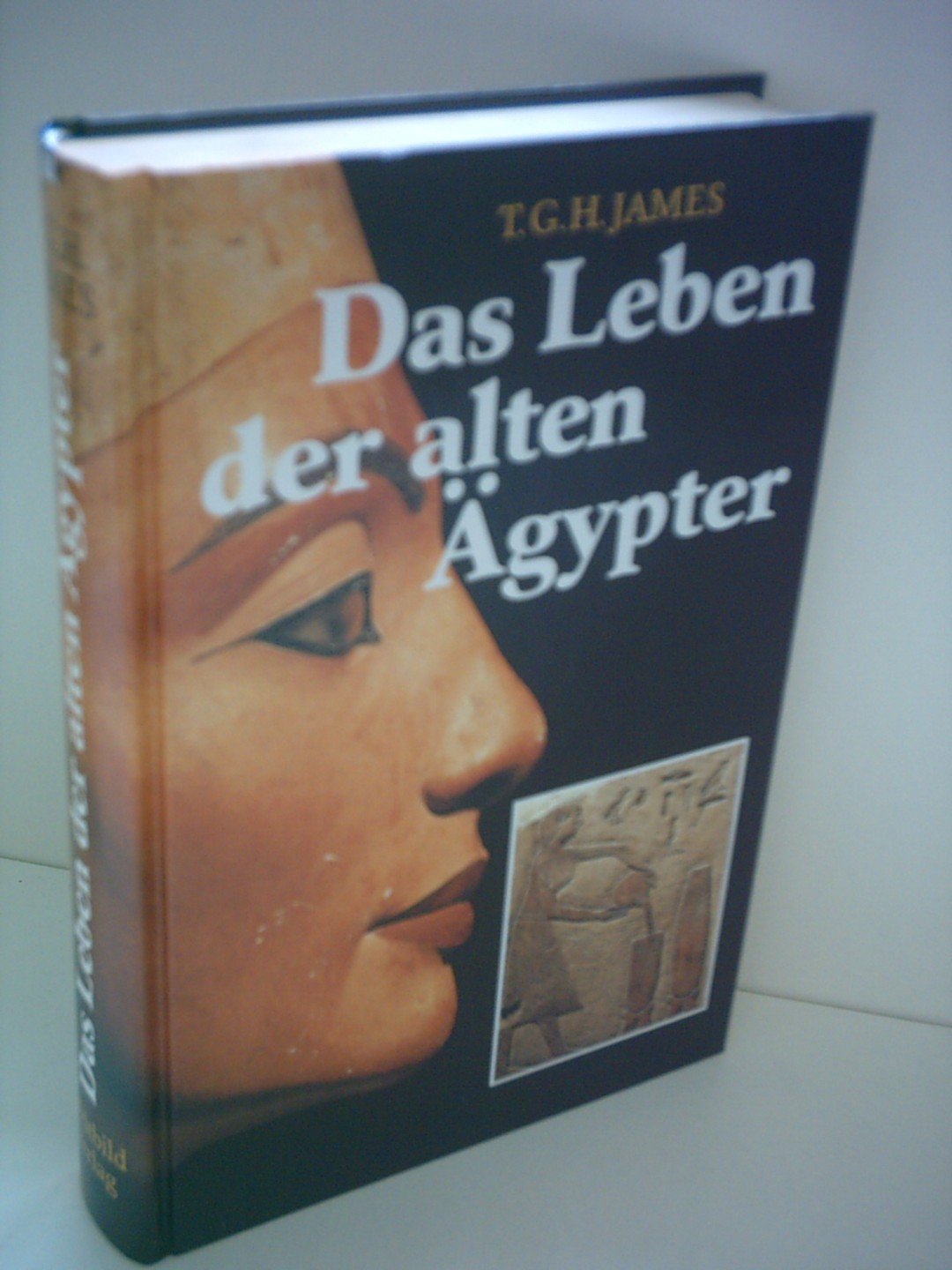 T. G. H. James: Das Leben der alten Ägypter Books