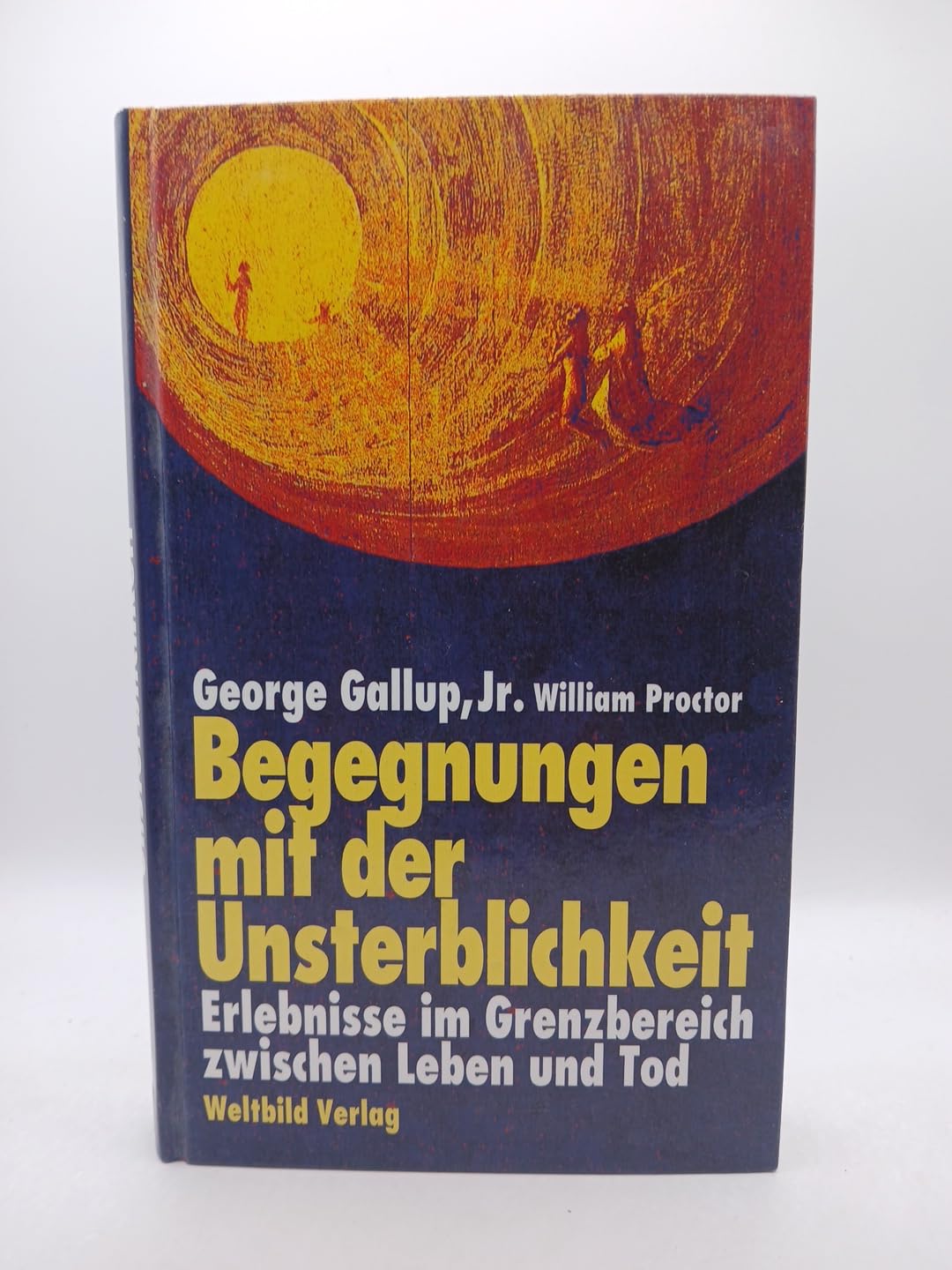 Begegnungen mit der Unsterblichkeit . Erlebnisse im Grenzbereich zwischen Leben und Tod. Books