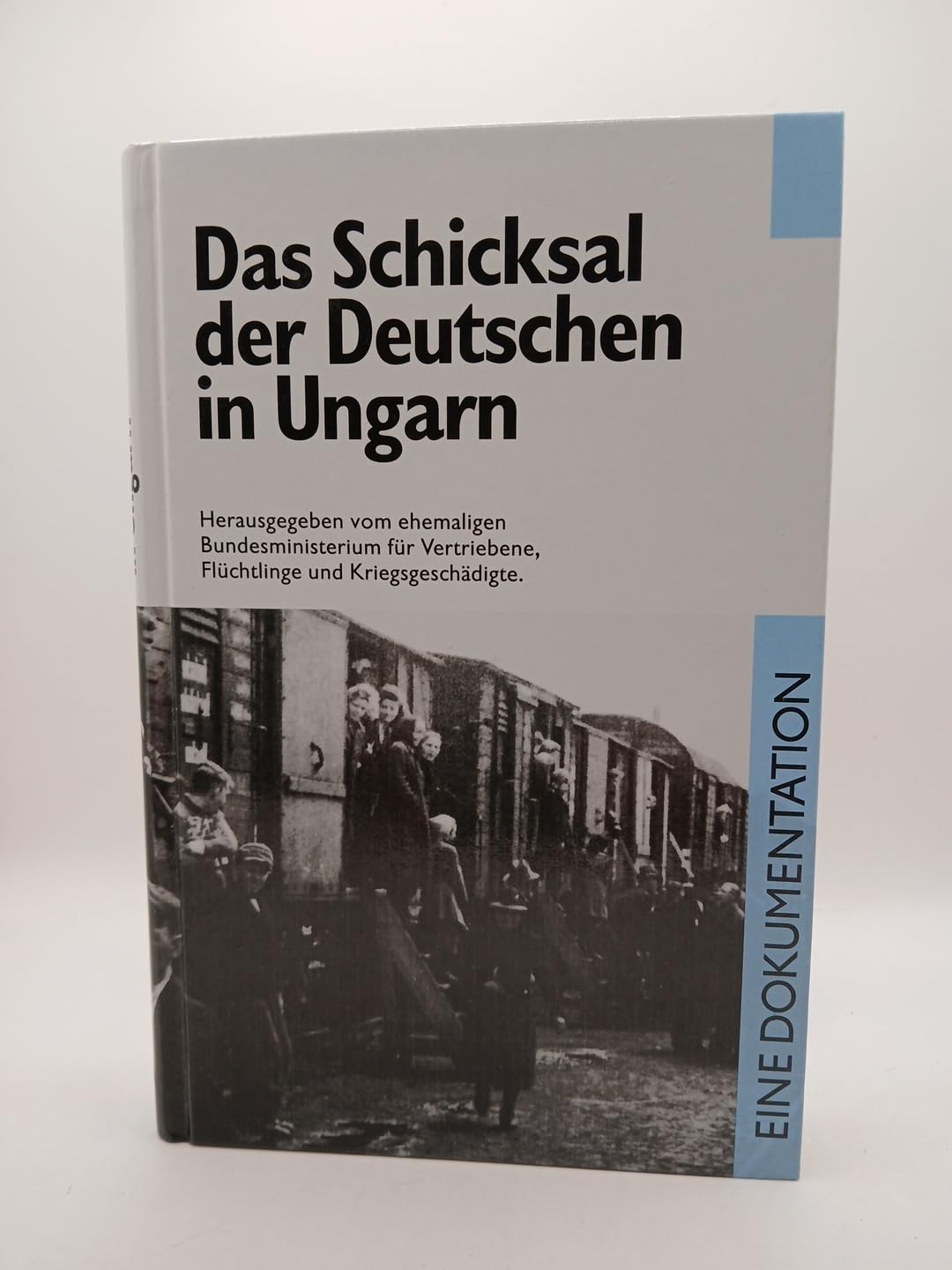 Das Schicksal der Deutschen in Jugoslawien. Eine Dokumentation Books
