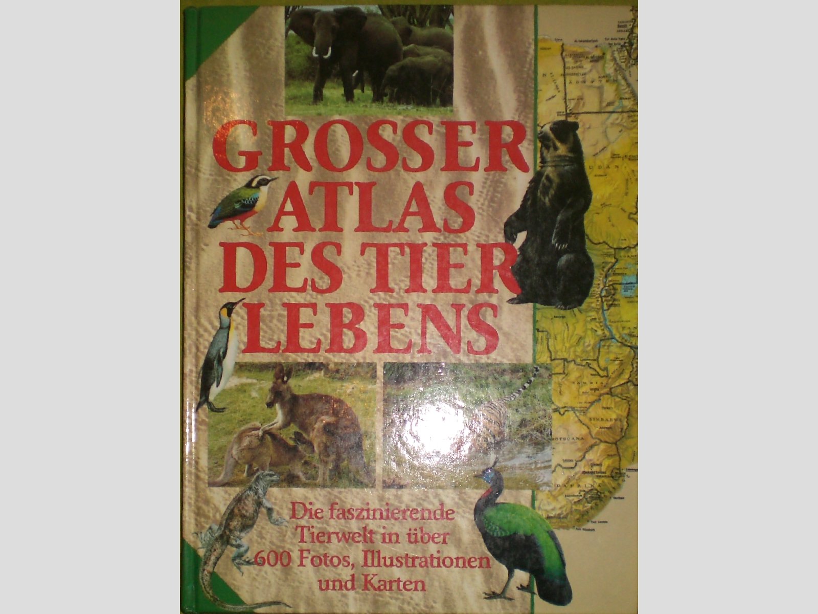 Grosser Atlas des Tierlebens: Die faszinierende Tierwelt Learning & Reference