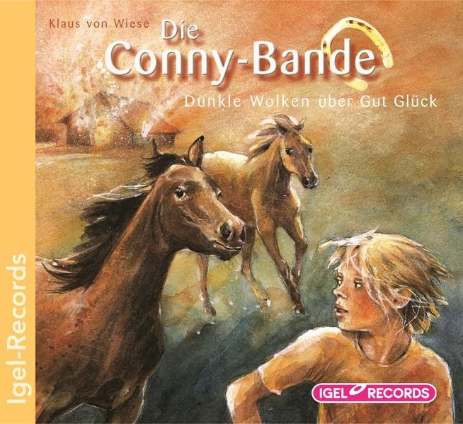 Die Conny-Bande 2. Dunkle Wolken über Gut Glück: Hörspiel Novels & Short Stories