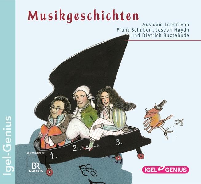 Musikgeschichten. Aus dem Leben von Franz Schubert, Joseph Haydn und Dietrich Buxtehude Non-fiction